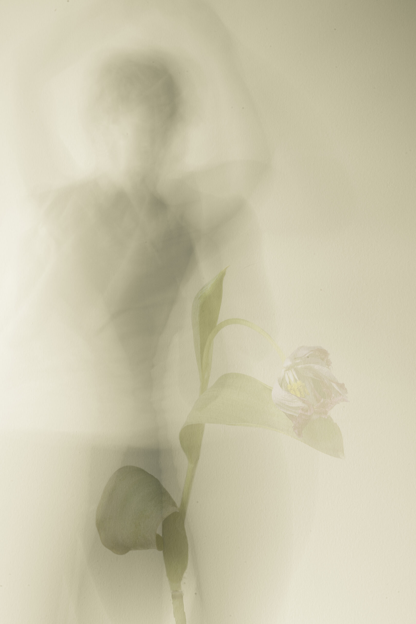 killat_mementomorti_#1